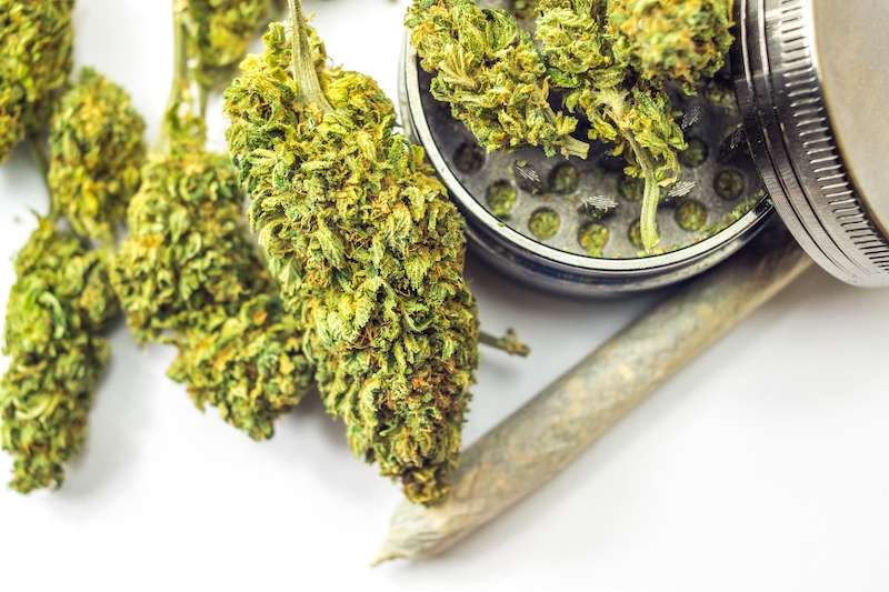 cannabis flower next to a weed grinder next to a blunt
