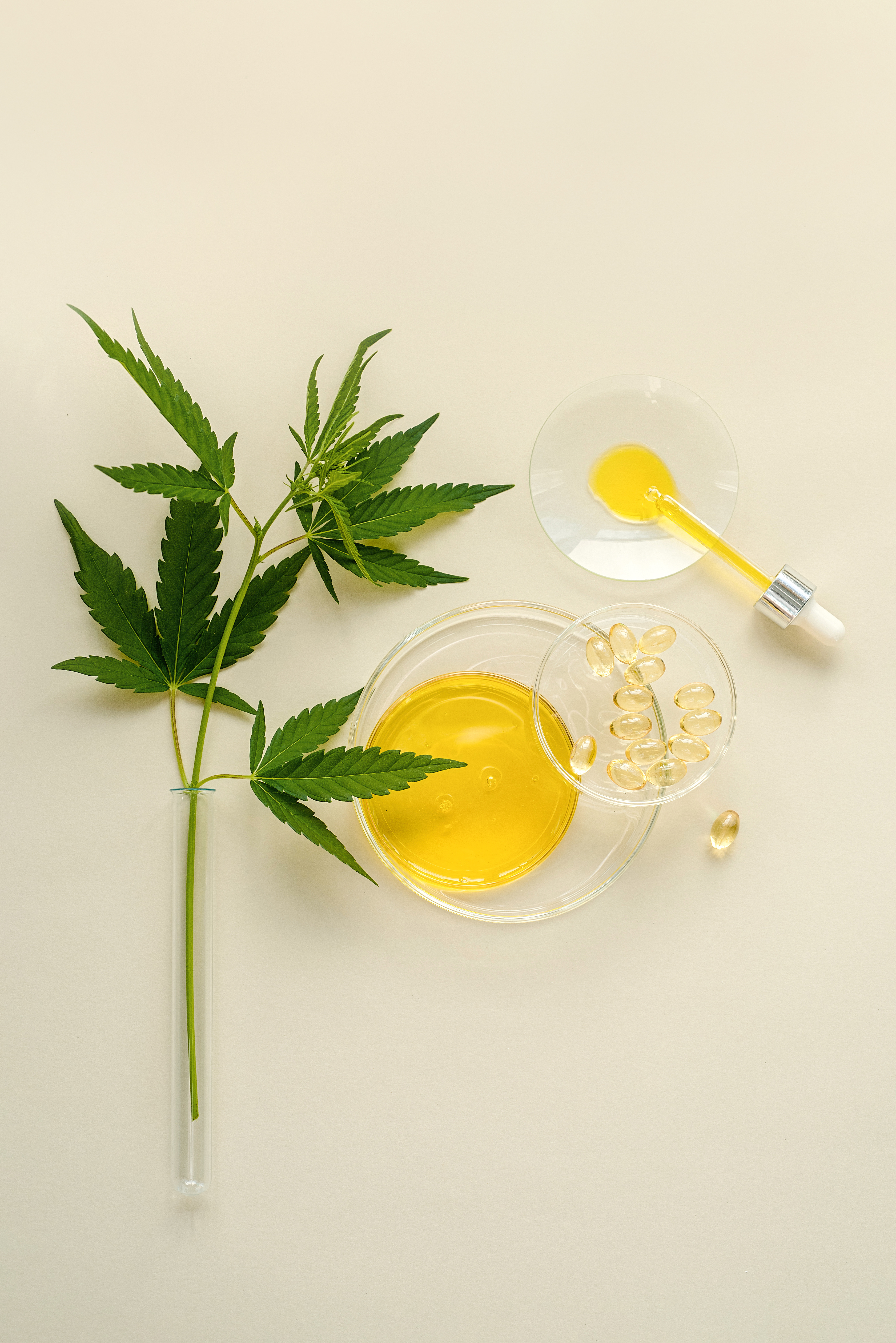 Capsules and tincture with hemp oil and CBD and marijuana leaves on a light background Flat lay, copy space. View from above. Health product concept with CBD oil. Background concept for products with CBD oil