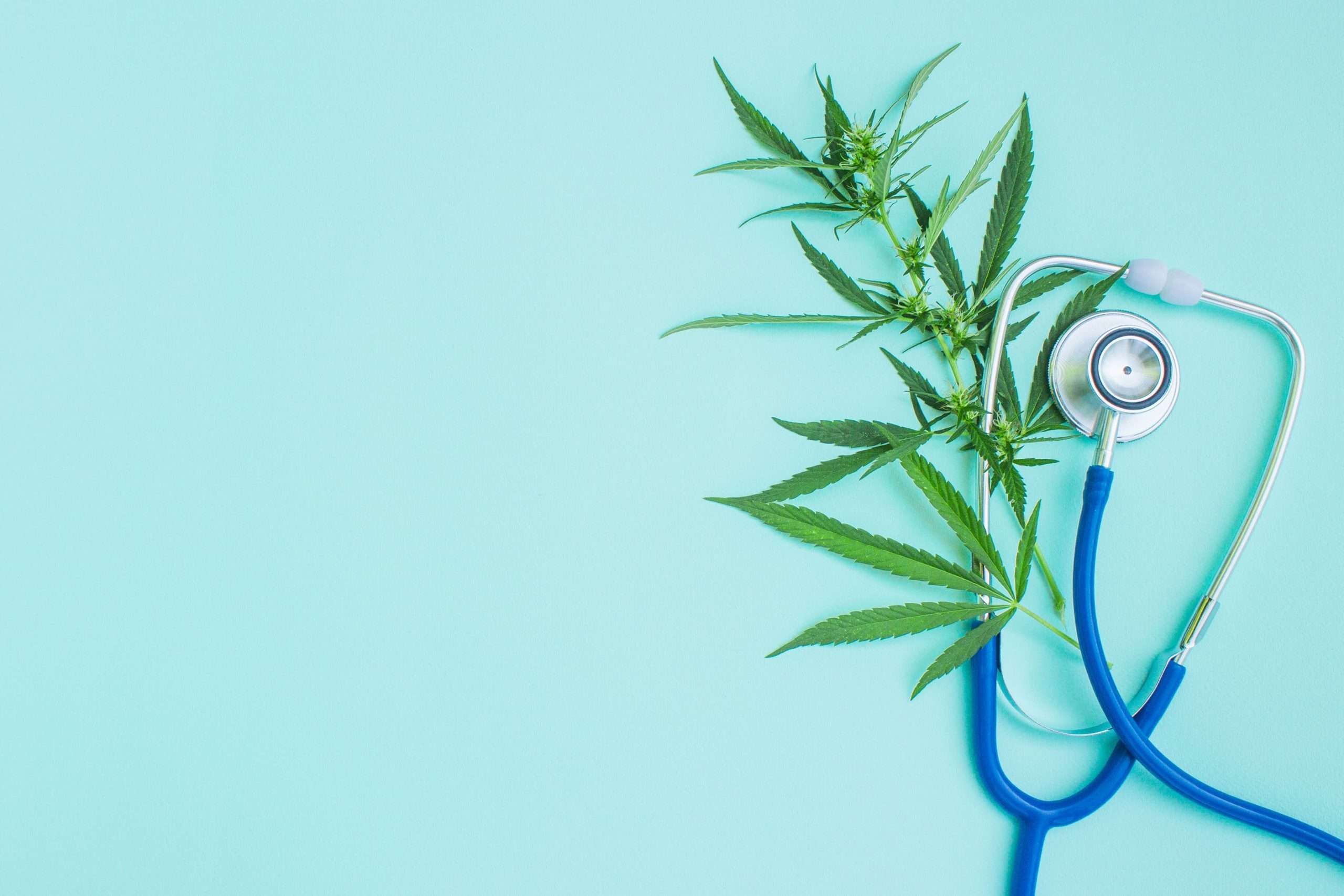 weed leaf next to stethoscope